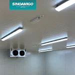 Engineering case of refrigerated room lighting project
