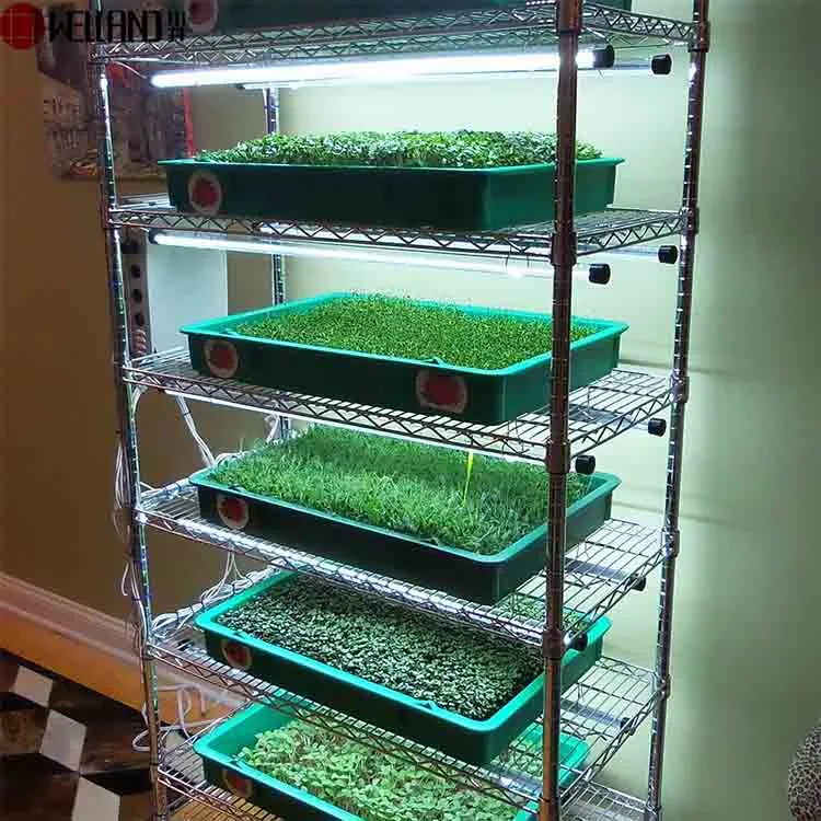 Hot Selling Plant Growing Shelves