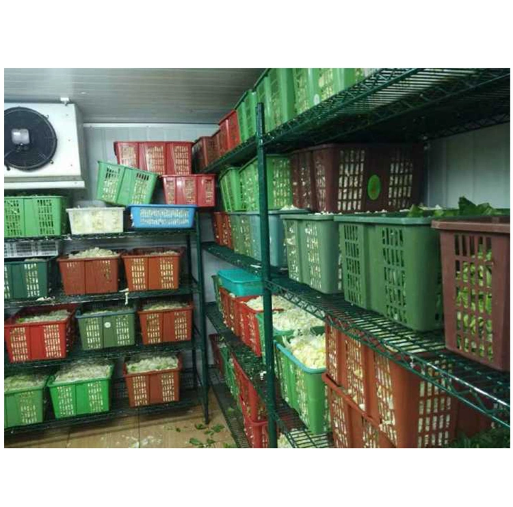 How to Choose Cold Storage Shelves