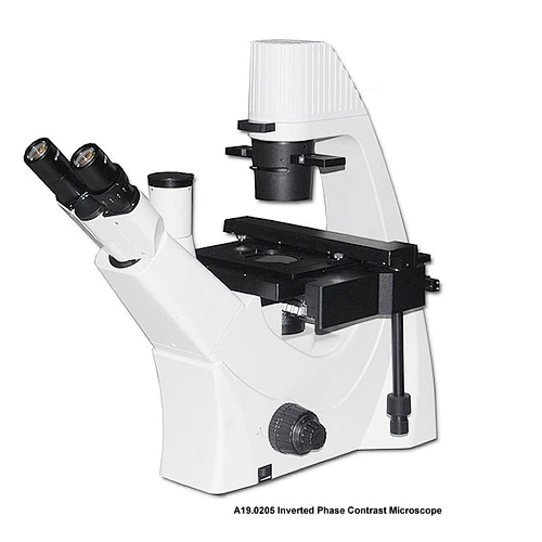 Microscópio de Contraste de Fase Invertida Trinocular OPTO-EDU A19.0205 100x-400x