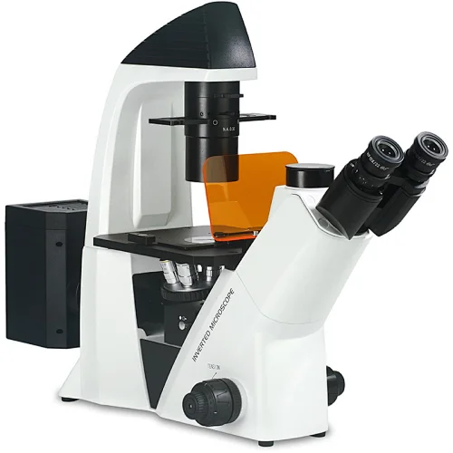 Inverted Fluorescent Microscope, B,G