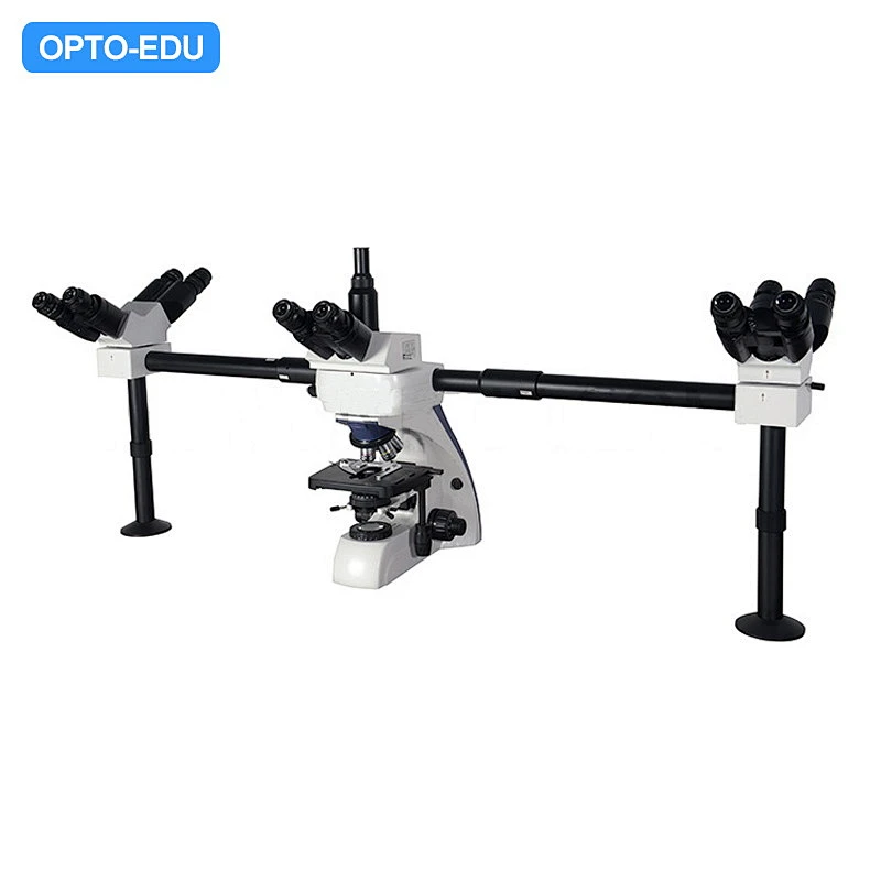 Multi-Viewing Microscope, 5 People Multi-Viewing Microscope, 5 People