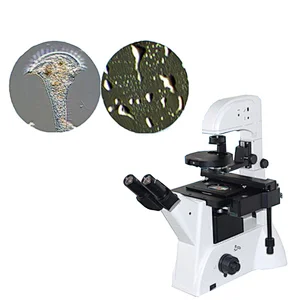 Inverted Biological Phase Contrast Microscope, PMC