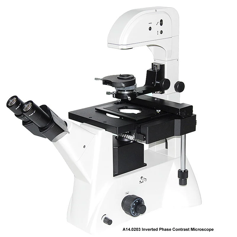 Inverted Biological Phase Contrast Microscope