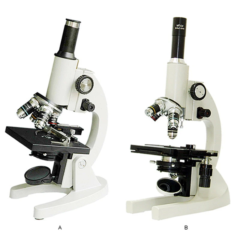 Microscópio Biológico Microscópio Biológico