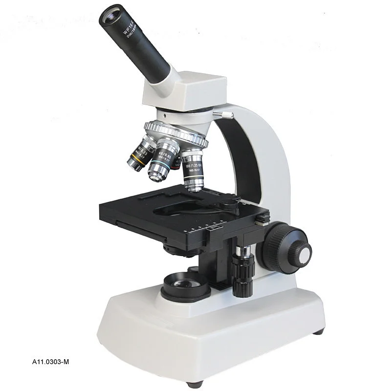 Biological Microscope Biological Microscope