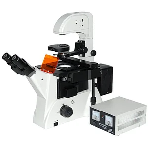 Inverted Fluoresent Microscope, Phase Contrast