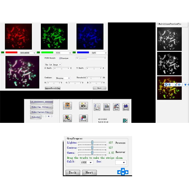 Fluorescent chromosome software