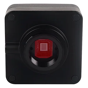wireless digital camera