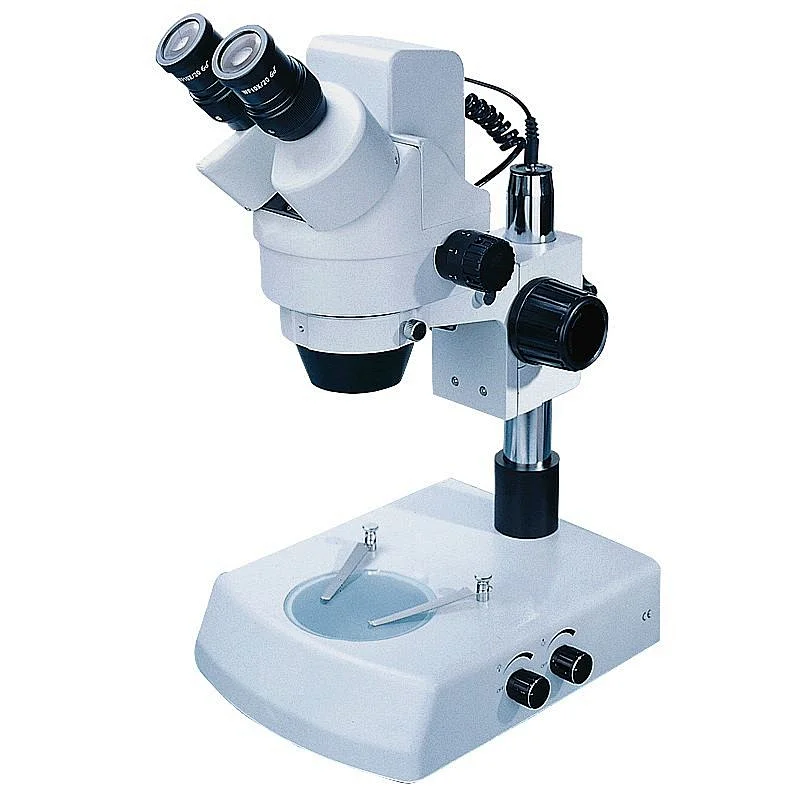 Digital Zoom Stereo Microscope