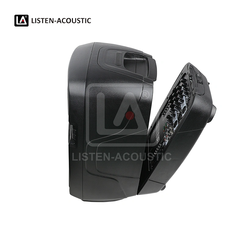 Dual 10 inch Speakers, Bluetooth Speakers, Portable Speakers, powered speaker, all in one portable pa system