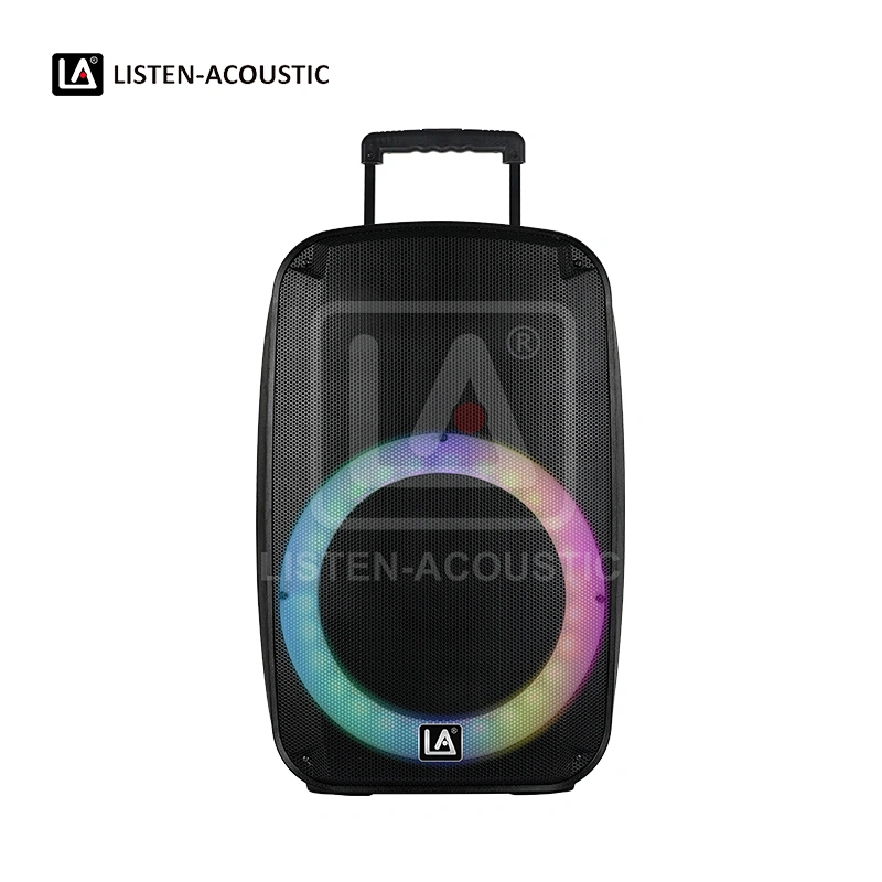 DJ speakers, portable microphone and speaker, church speakers, PEQ DWB 8inch Speaker PA System, PEQ-DWB Series