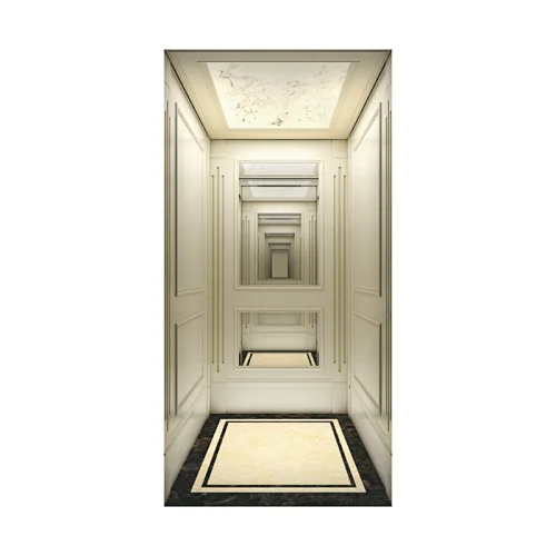 Small Villa Elevator Home Elevator