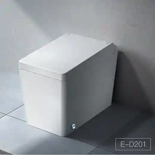 sanitary bidet toilet bidet