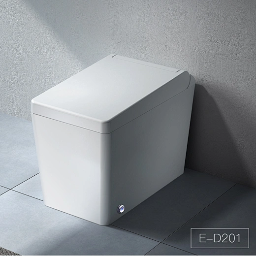 sanitary bidet toilet bidet