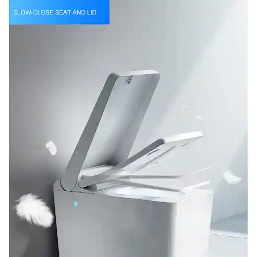 sanitary bidet toilet bidet