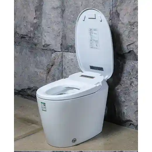 toilet intelligent