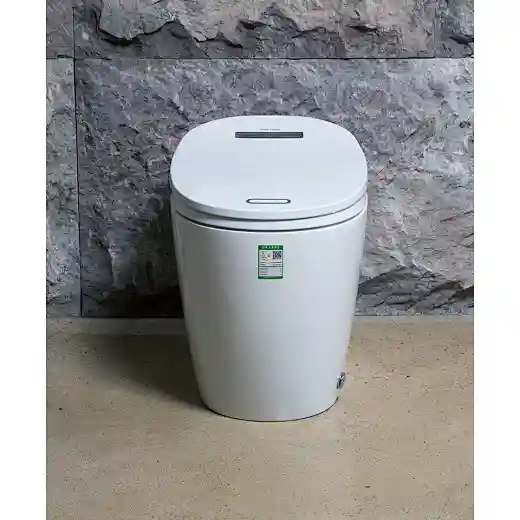 toilet intelligent