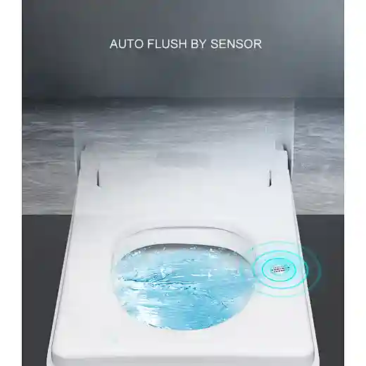 sanitary bidet toilet bidet