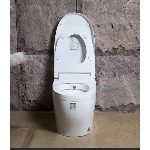 intelligent ceramic toilet