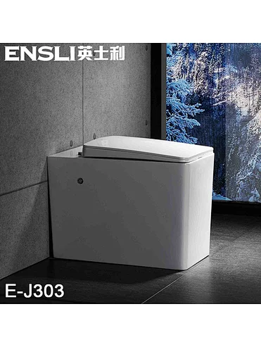 Simple one piece toilet E-J303