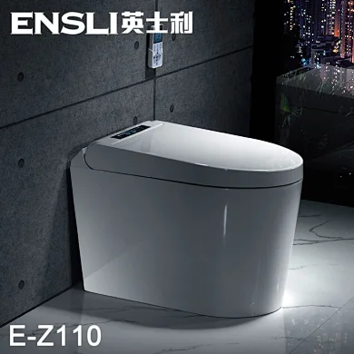 One-piece dual-flush intelligent toilet E-Z110