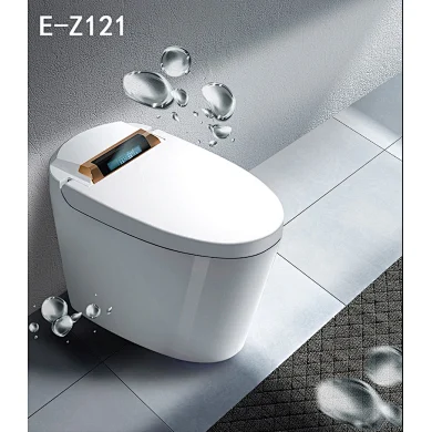 toilet intelligent