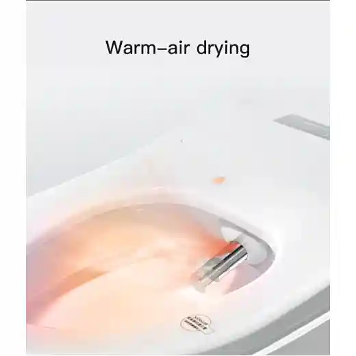 intelligent ceramic toilet