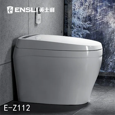 One-piece dual-flush intelligent toilet E-Z112