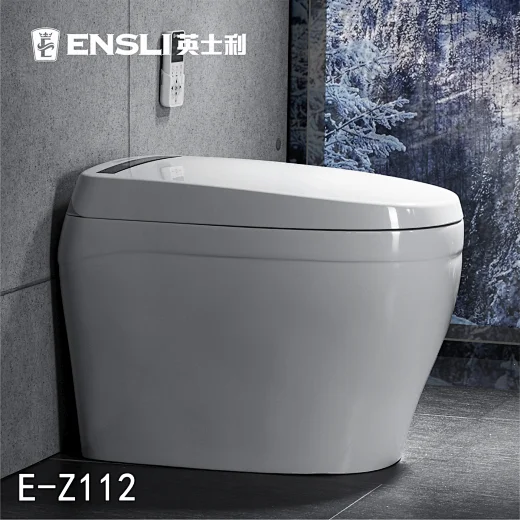 One-piece dual-flush intelligent toilet E-Z112