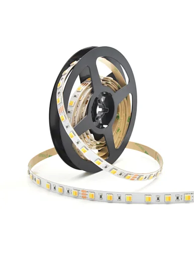 dual color led strip