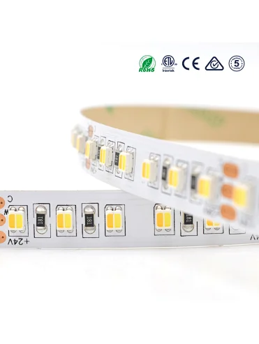 3528 2in1 CCT adjustable led strip