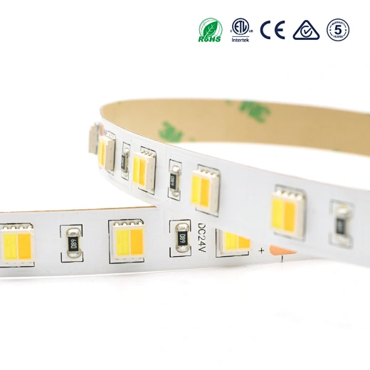 5050 2in1 led strip