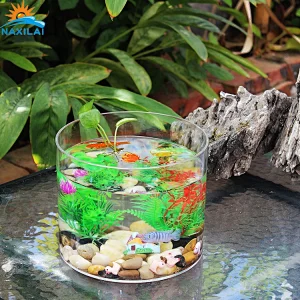 Naxilai Small Decoration Acrylic Fish Tank