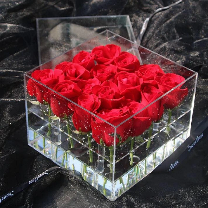 Naxilai 16 Holes Valentines Gift Plastic Rose Display Case