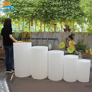 Clear Acrylic Pedestal