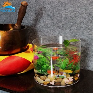 Naxilai Small Decoration Acrylic Fish Tank