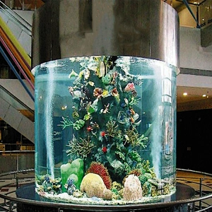 giant acrylic tube