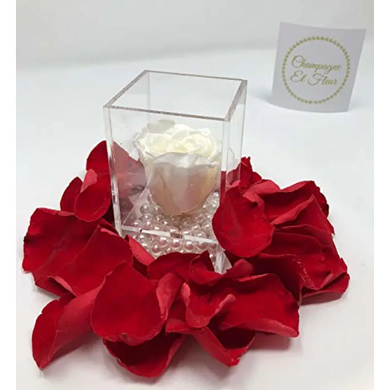 Naxilai 1 Hole Small Acrylic Single Flowers Box