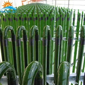 Algae bioreactor