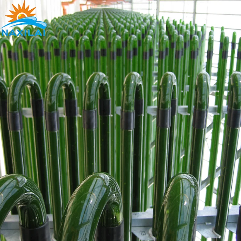 Algae bioreactor