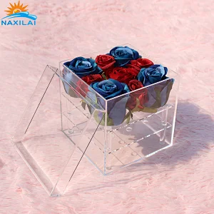 Naxilai 9 Holes Preserved Flowers Display Box