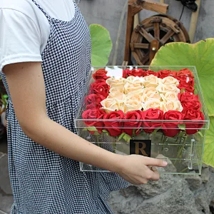 Naxilai 36 Holes Waterproof Transparent Flower Box