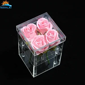 Naxilai 4 Holes Clear Acrylic Flower Box