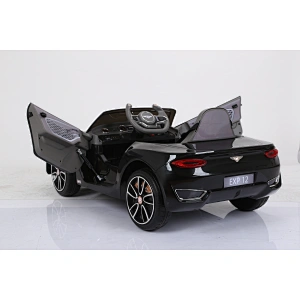 Лицензионный Bentley EXP12.