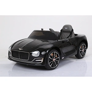 Лицензионный Bentley EXP12.