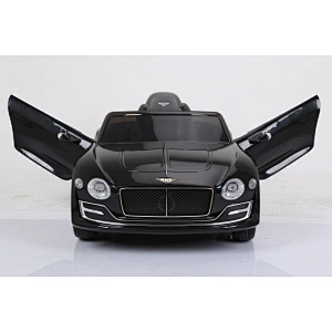 Лицензионный Bentley EXP12.