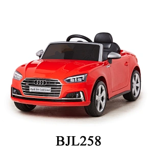 Audi S5 con licencia