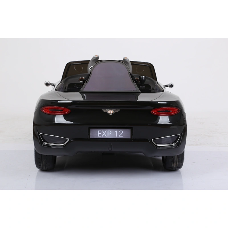 Лицензионный Bentley EXP12.