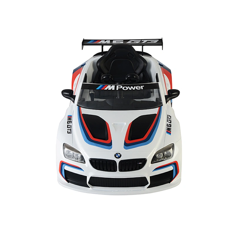 Licenced BMW M6 GT3